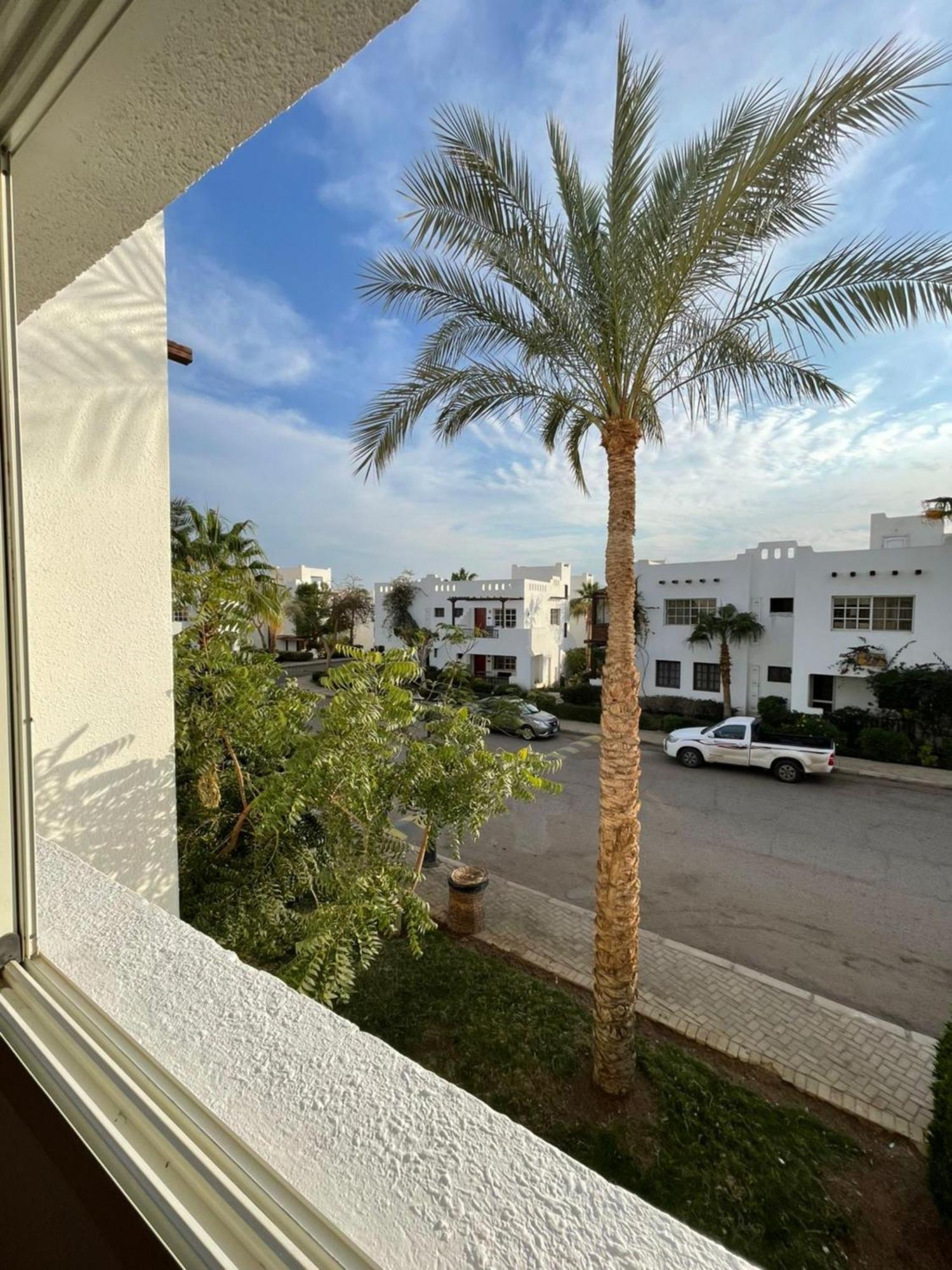 Delta Sharm Apartments Room photo